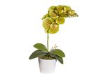 Set Di 2 Piante Artificiali Phalaenopsis Da 40 Cm In Vaso Con Muschio - Decorazione Per La Casa