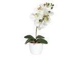 Set Di 2 Piante Artificiali Phalaenopsis 40 Cm Bianco-Verde In Vaso Di Ceramica 11 Cm, Di Facile Manutenzione