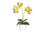 Set Di 2 Orchidee Phalaenopsis 50 Cm Verdi In Vaso Di Ceramica Bianco 11 Cm Pianta Artificiale