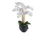 Orchidea Phalaenopsis 70 Cm In Bianco - Pianta Artificiale Di Facile Manutenzione In Vaso Nero