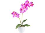 Orchidea Phalaenopsis 9 Fiori 57Cm - Pianta Artificiale Realtouch In Vaso Di Ceramica Bianca 11Cm