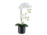 Orchidea Phalaenopsis 50 Cm Bianca, Pianta Artificiale Real Touch In Vaso Di Ceramica Nero 12X11,5 Cm