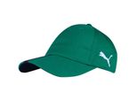 Puma Cappelli Liga Cap, 02235604