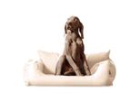 Tierlando NEMO Hundebett Hundesofa S M L Hundekorb Katzenbett 65 80 100cm creme 65 cm, 20 cm, 50 cm