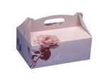 Scatole Per Biscotti Papstar Con Maniglia Per Il Trasporto 26 X 22 X 9 Cm 15 Pezzi 18853