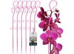 Kotarbau® Set Di 6 Supporti Per Piante Rosa 39 Cm Pvc Supporto Per Fiori Ausilio Per L'arrampicata Piante Da Interno Supporto Per Fiori Giardino Orchidee Asta Di Supporto Piante Supporto Decorativo Per Piante Da Interno Aste Per Arrampicata Piante Da Interno