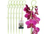 Kotarbau® Set Di 6 Supporti Per Piante In Pvc Verde 39 Cm Supporto Per Piante Rampicanti Supporto Per Piante Da Interno Supporto Per Orchidee Da Giardino Supporto Per Piante Supporto Decorativo Per Piante Da Interno Aste Per Piante Rampicanti