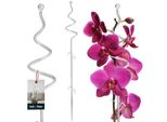 Kotarbau® Supporto Per Piante In Pvc Trasparente 58 Cm A Spirale Supporto Per Fiori Ausilio Per L'arrampicata Piante Da Interno Supporto Per Fiori Giardino Orchidea Asta Di Supporto Piante Supporto Decorativo Per Piante Da Interno Aste Per Arrampicata Piante