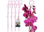 Kotarbau® Set Di 4 Supporti Per Piante Rosa 39 Cm Pvc Supporto Per Fiori Ausilio Per L'arrampicata Piante Da Interno Supporto Per Fiori Giardino Asta Di Supporto Per Orchidee Piante Supporto Decorativo Per Piante Da Interno Aste Per L'arrampicata Di Piante Da Interno