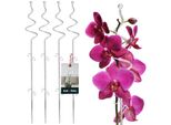 Kotarbau® Set Di 4 Supporti Per Piante In Pvc Trasparente Da 58 Cm A Spirale Supporto Per Piante Rampicanti Supporto Per Piante Da Interno Supporto Per Orchidee Da Giardino Supporto Per Piante Decorativo Supporto Per Piante Da Interno Aste Per Piante Rampicanti