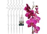 Kotarbau® Set Di 6 Supporti Per Piante In Pvc Trasparente Da 58 Cm A Spirale Supporto Per Piante Rampicanti Supporto Per Piante Da Interno Supporto Per Orchidee Da Giardino Supporto Per Piante Decorativo Supporto Per Piante Da Interno Aste Per Piante Rampicanti