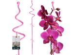 Kotarbau® Supporto Per Piante Rosa Pvc 58 Cm A Spirale Supporto Per Fiori Ausilio Per L'arrampicata Piante Da Interno Supporto Per Fiori Giardino Asta Di Supporto Per Orchidee Piante Supporto Decorativo Per Piante Da Interno Aste Per L'arrampicata Piante Da Interno