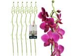 Kotarbau® Set Di 6 Supporti Per Piante In Pvc Verde 55 Cm Abete Supporto Per Fiori Ausilio Per L'arrampicata Piante Da Interno Supporto Per Fiori Giardino Orchidea Asta Di Supporto Piante Supporto Decorativo Per Piante Da Interno Aste Per Arrampicata Piante