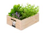 Kotarbau® Cassa Di Legno Piccola Senza Coperchio Casse Di Legno Con Manici Universale 40X30X14 Cm Cassa Di Legno Cassa Di Stoccaggio Legno | Cassa Di Legno Senza Coperchio Cassa Di Legno Con Manico Cassa Di Verdure