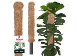 Kotarbau® Palo Di Muschio Per Monstera Noce Di Cocco Naturale ⌀ 2,5 X 40 Cm Palo Per Piante Supporto Per Piante Monstera Palo Di Cocco Palo Per Piante Palo Per Piante Palo Di Muschio Monstera Supporto Per Piante Palo Per Fiori Palo Di Muschio