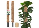 Kotarbau® Set Di 2 Pali Di Muschio Per Monstera Cocco Naturale ⌀ 2,5 X 50 Cm Palo Per Piante Supporto Per Piante Monstera Palo Di Cocco Palo Per Piante Palo Per Piante Muschio Per Monstera Supporto Per Piante Palo Per Fiori Palo Per Muschio + Spago
