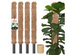 Kotarbau® Set Di 4 Pali Di Muschio Per Monstera Cocco Naturale ⌀ 2,5 X 50 Cm Palo Per Piante Supporto Per Piante Monstera Palo Per Piante Palo Per Piante Palo Per Muschio Supporto Per Piante Monstera Palo Per Fiori Palo Per Muschio + Spago