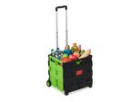 Relaxdays 10X Carrello Spesa Pieghevole Verde