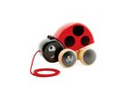 Hape Coccinella Treno Giocattolo In Legno Divertimento Animale Prescolare