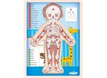 Puzzle ´´Corpo Umano´´ - Kluk Sk