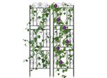 Set Di 2 Tralicci Wisfor, Traliccio Di Rose In Metallo Da 182 Cm, Traliccio Di Fiori In Acciaio Inox, Decorazione Del Giardino