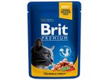 Brit Premium Cat Adult Salmone + Trota In Busta 100G