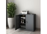 Cartella Molise 90 X 40 X 90 Cm Armadio Per Ufficio A 2 Ante Armadio In Acciaio Con 2 Ripiani Regolabili In Altezza Armadio In Metallo Con Serratura Acciaio Grigio Scuro