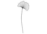 Bellissima Foglia Di Ginkgo Da Giardino Di Circa 118 Cm - Decorazione Da Giardino