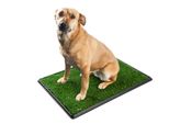 Toilette Per Cani Propet Di Grandi Dimensioni