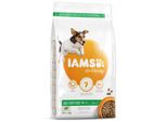 Iams Dog Adult Small & Medium Agnello 3 Kg