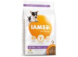 Iams Dog Puppy Small & Medium Pollo 3 Kg