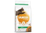 Iams Cat Adult Chicken 2 Kg