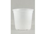Vasi Per Orchidee Ferrarium Trasparenti (10 Pezzi) Larghi 12 Cm E Alti 12 Cm