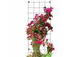 Traliccio Kadax, Supporto Per Arrampicata In Acciaio, Traliccio A Parete Per Piante, Giardino, Balcone, Terrazza, Traliccio In Filo Metallico