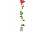 Supporto Per Rampicanti Kadax In Acciaio, Supporto Per Piante Autoportanti Per Rose, Piante Rampicanti, Edera, Giardino