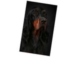 Coperta Calda In Micro Peluche 130X150 Cm - Cocker Spaniel Nero E Tan