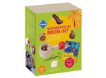 Pebaro - Portacastagne - Kit Artigianale
