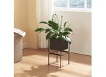 Supporto Per Piante 'Sveio' Con Scatola In Metallo 36 X 20 X 20 Cm Nero