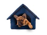 Elegante Grotta Per Cani, Cuccia Per Cani | Misura M: 33 X 40 X 33 Cm | Colore: Velluto Blu | Casa Per Cani Di Piccola E Media Taglia | Casa Per Gatti, Grotta Per Gatti