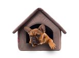 Elegante Grotta Per Cani, Cuccia Per Cani | Misura M: 33 X 40 X 33 Cm | Colore: Velluto Marrone | Casa Per Cani Di Piccola E Media Taglia | Casa Per Gatti, Grotta Per Gatti