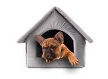 Elegante Grotta Per Cani, Cuccia Per Cani | Misura M: 33 X 40 X 33 Cm | Colore: Velluto Grigio | Casa Per Cani Di Piccola E Media Taglia | Casa Per Gatti, Grotta Per Gatti