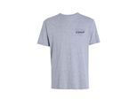 Maglietta Poler Goomer Uomo In Cotone Grigio Xl