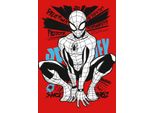 Komar Tessuto Non Tessuto Su Telaio Per Barella Spider-Man Red - 612825 - 40 Cm X 60 Cm