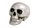 Teschio Con Mascella Mobile - Decorazione Per Halloween