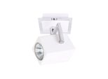 Italux Mateo Led, Lampada Da Parete E Soffitto In Bronzo Industriale FH31151SJS3