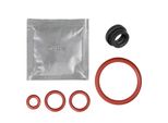 SW-K Set Di Manutenzione Guarnizione Anelli Di Tenuta Set Di Guarnizioni Ricambio Per Valvola Di Supporto Del Gruppo Di Cottura E Serbatoio Dell'acqua Adatto Per Saeco Philips Spidem Gaggia Set-27 | Hd Sm Ri Ep 2200 3200 3100 4000 5000 2000 2100 3000 Serie Odea Incanto Hd Talea Syntia Xsmall Intelia Intuita Minuto Moltio Pico Gran Baristo Naviglo Velasca Platinum Brera Unica