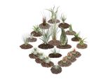 1 Tillandsie Set Con 20 Piante Di Cui 3 Piante Xxl