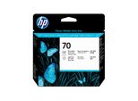 Hp Testina Di Stampa Nero Fotografico E Grigio Chiaro Designjet 70 - Hp Designjet Z2100 - Z3100 And Z3200 Photo Printer Series - Ad Inchiostro - Grigio Chiaro - Nero Per Foto - C9407A - Singapore - 143 Mm
