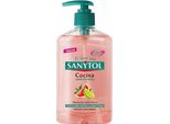 Sanytol Sapone Per Mani Da Cucina 250Ml