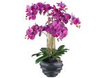 Orchidea Phalaenopsis 70 Cm Viola In Vaso Di Plastica Nero - Pianta Artificiale Realistica